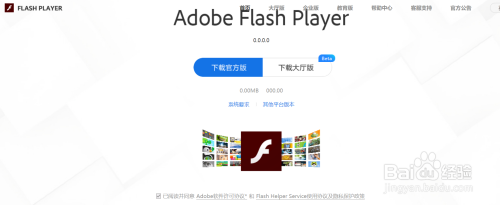 谷歌浏览器Flash版本过时，影响、解决方案与未来展望