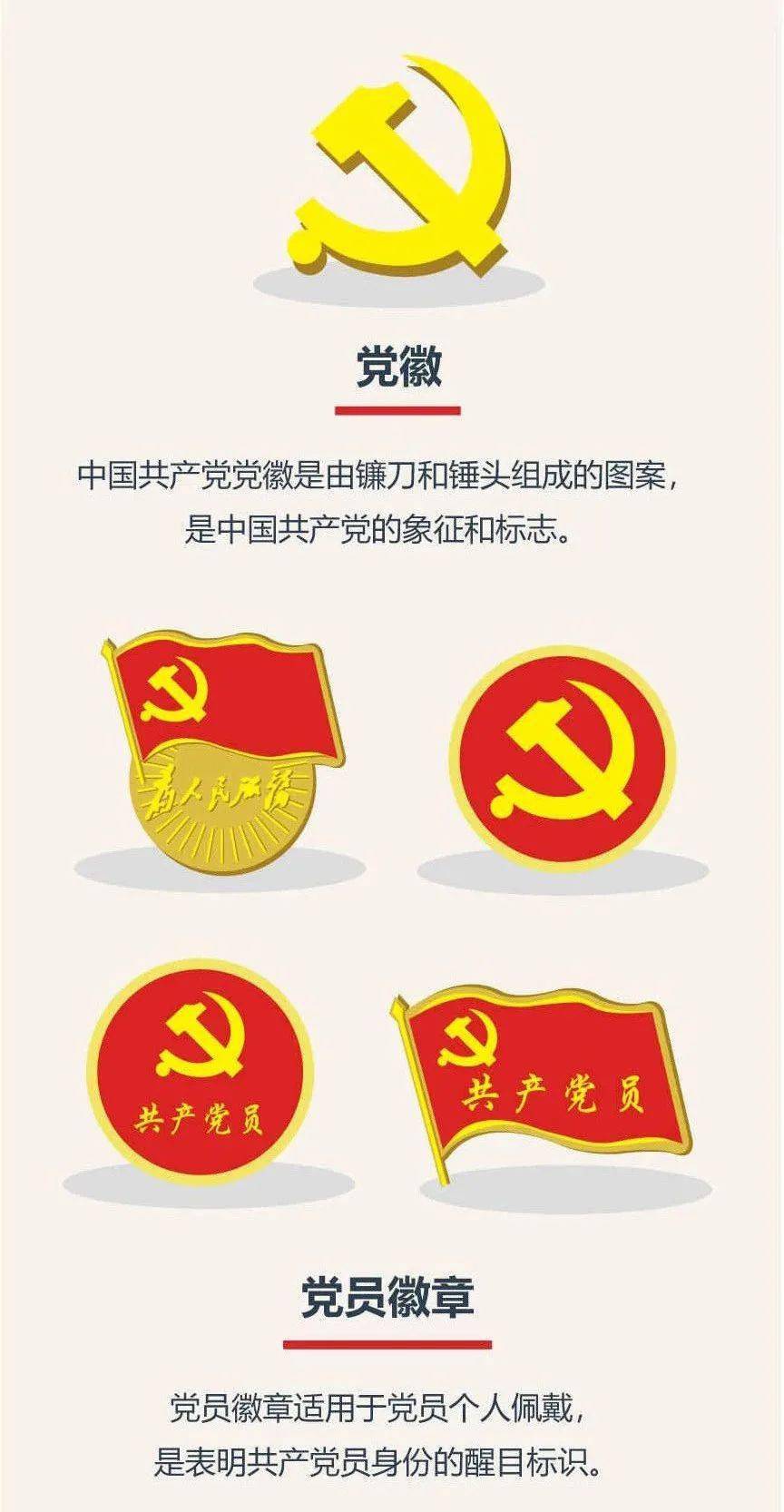 党徽胸章，展现党的精神与力量的最新象征 2017版