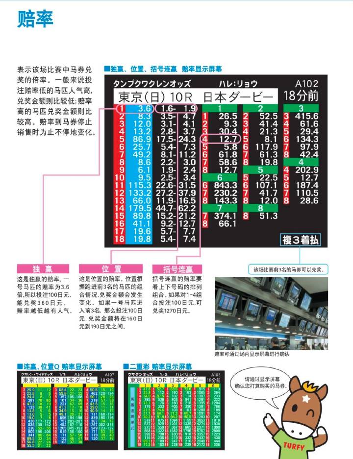 马会传真,数据驱动策略设计_界面版60.91