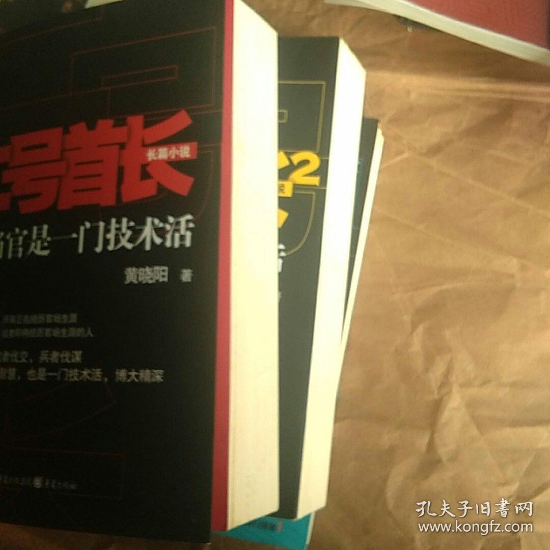 二号首长第三部最新章节深度解析与探讨，揭示故事内核与细节