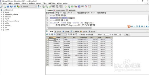 2024香港资料大全正新版,数据驱动执行方案_交互版55.333