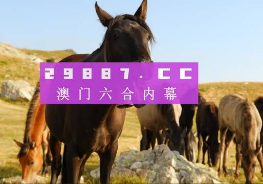 澳6图库app下载,高效方法解析_PalmOS26.331