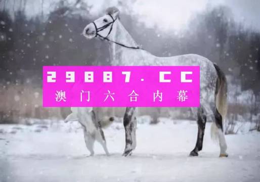 一肖一码,专业研究解析说明_9DM72.851