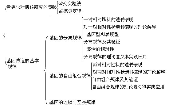 澳门329期,理论解答解析说明_视频版94.349