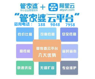 7777788888管家婆老家,深入解析策略数据_P版20.195