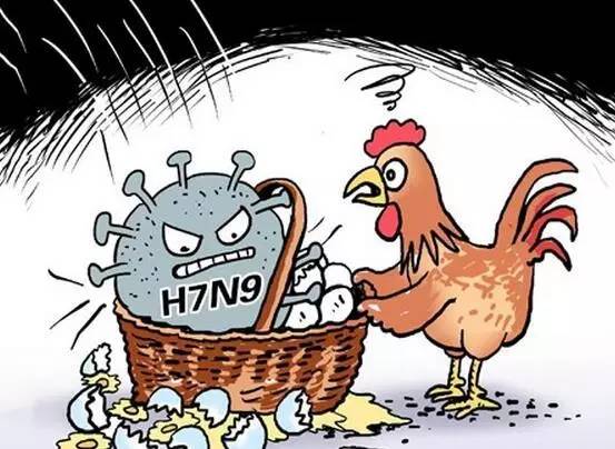 广西H7N9最新消息，2017年度概况分析报告