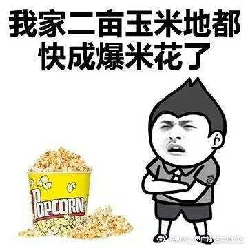 文明用语，拒绝使用粗俗语言