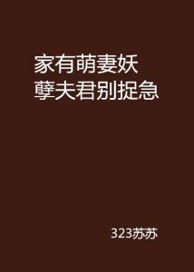 情感与生活交响乐章，最新章节中的夫君故事