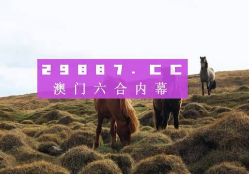 澳门4949开奖现场直播+开,互动性策略解析_YE版99.535