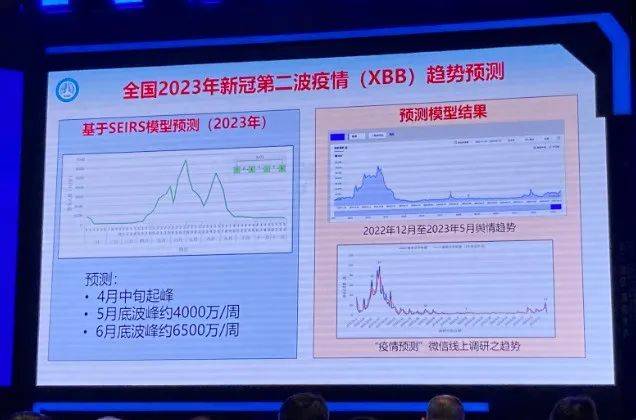 2024年11月新冠高峰,广泛方法解析说明_Z34.31