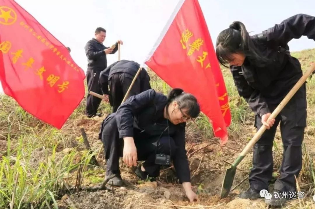 灵山太平最新新闻动态