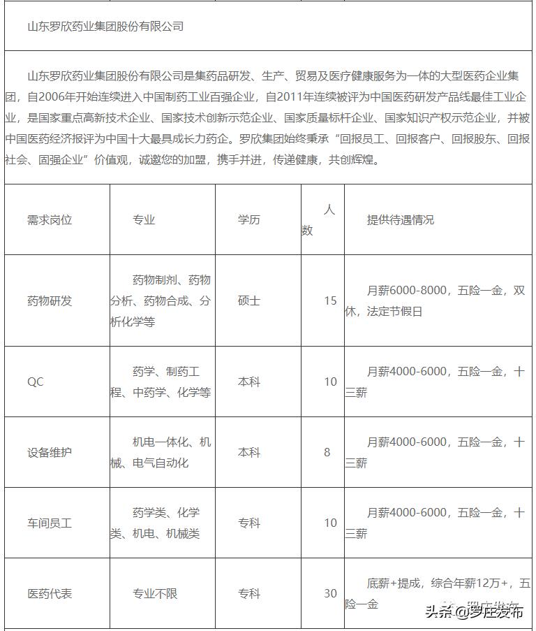 罗庄区最新招聘信息全面解析