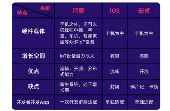 2024年12月6日 第16页