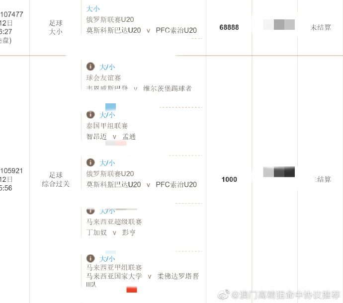 王中王精准资料期期中澳门高手,高效策略设计_GM版66.318