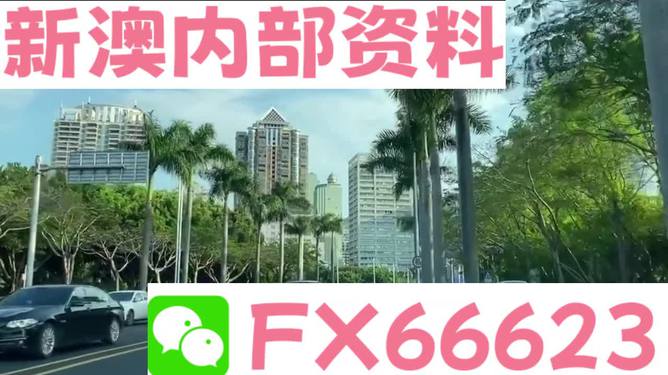 新澳精准资料免费提供最新版,持续计划实施_R版72.333