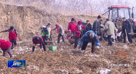 烟雾沟村民委员会领导团队最新概览