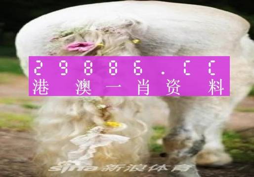 澳门精准一肖一码一码,未来解答解释定义_探索版19.567