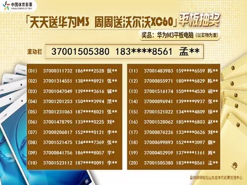 2024天天开彩免费资料,全面理解执行计划_7DM67.808