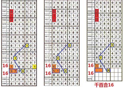 王中王鉄算盘一肖一码,正确解答落实_精英版201.123