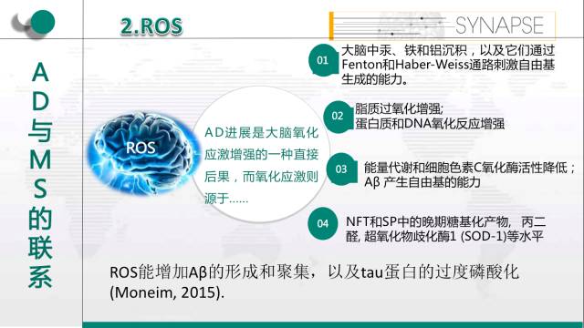 新奥精准资料免费提供综合版,持续设计解析_ChromeOS31.163