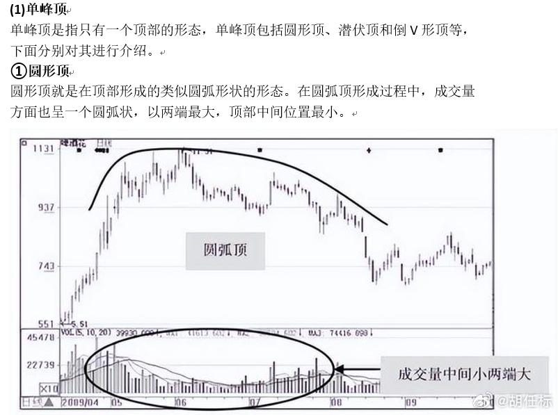 澳门码鞋一肖一码,深入分析定义策略_L版71.986