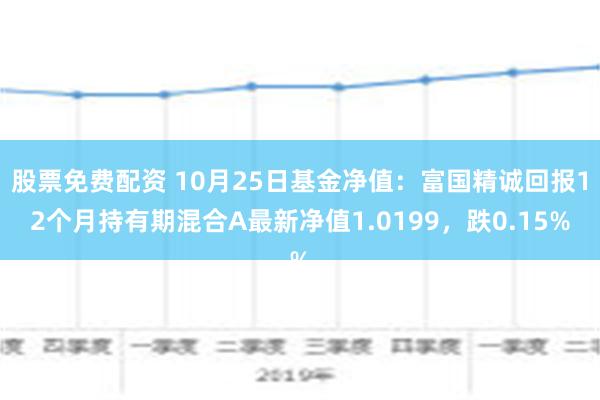 000925基金今日最新净值查询报告