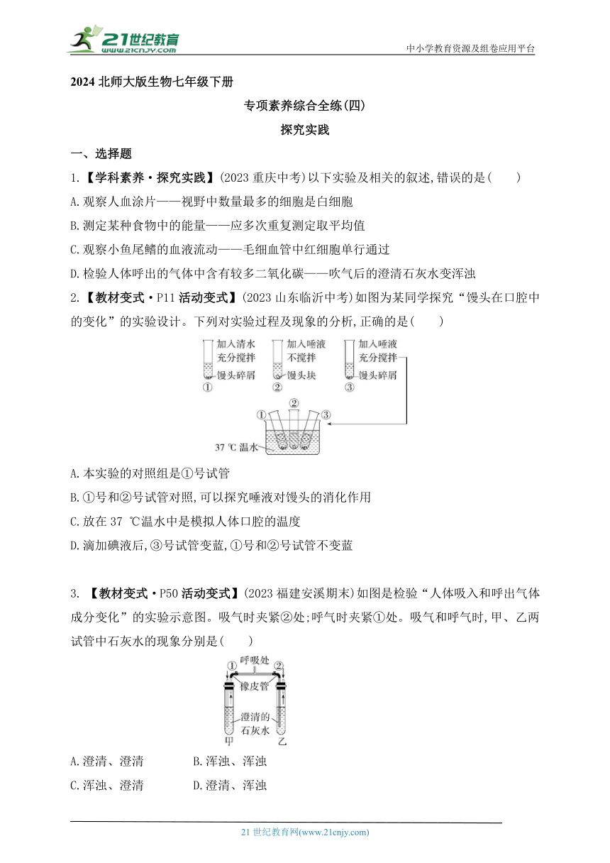 新澳2024正版免费资料,实践研究解析说明_3K93.11