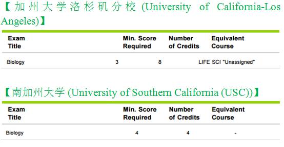 广东二八站资料澳门最新消息,实地策略计划验证_黄金版84.764