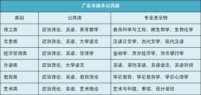 2024新奥资料免费精准061,前沿说明解析_Elite99.115