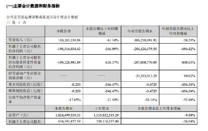 宏达新材引领行业变革，未来发展展望全新消息揭秘