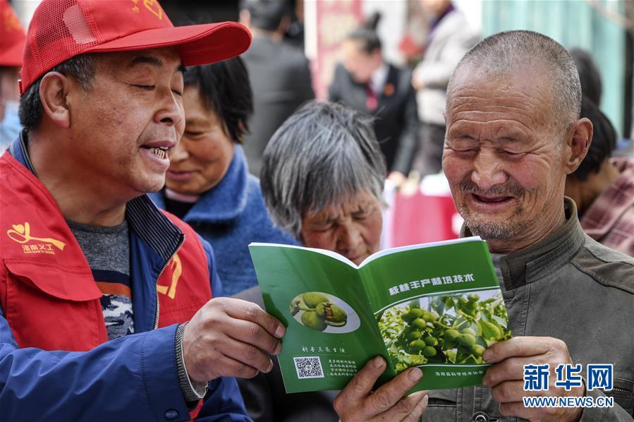 洛南县文化局发展规划构想与实施策略揭秘