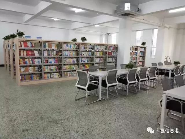 莘县图书馆创新服务举措，打造文化新地标，最新消息发布