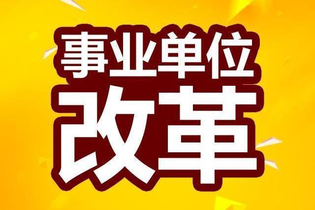 回民区级托养福利事业单位招聘信息与重要性解析