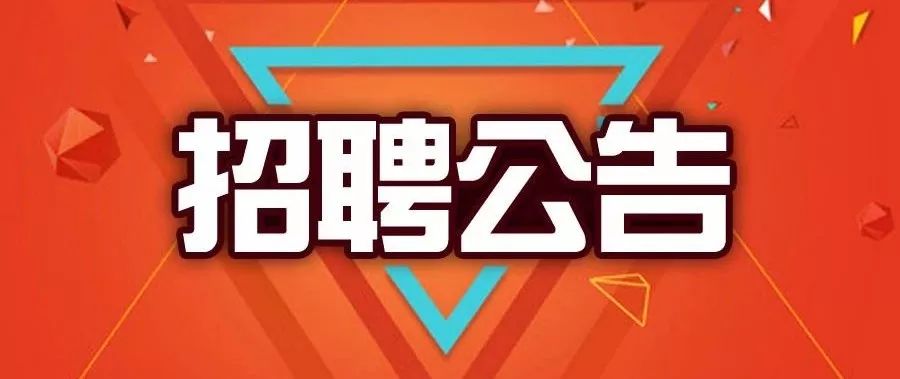 安县审计局最新招聘公告详解