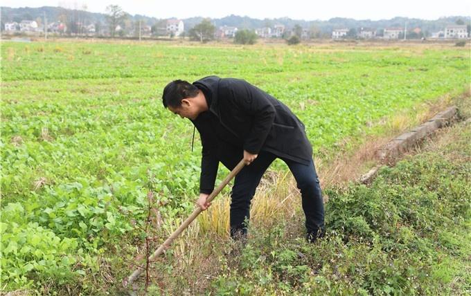 桃江县退役军人事务局未来发展规划展望