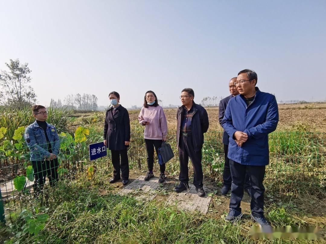 汉南区农业农村局最新动态报道