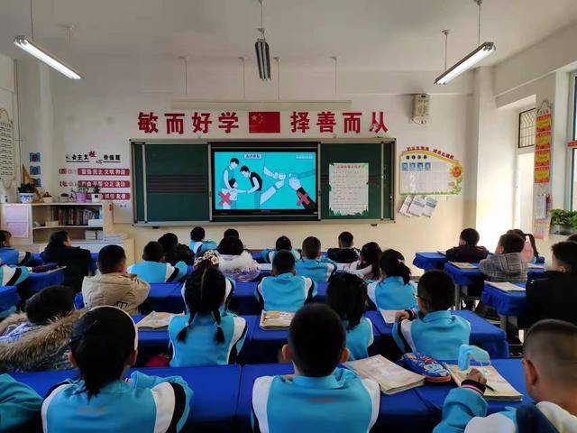 利通区小学全新招聘启事概览