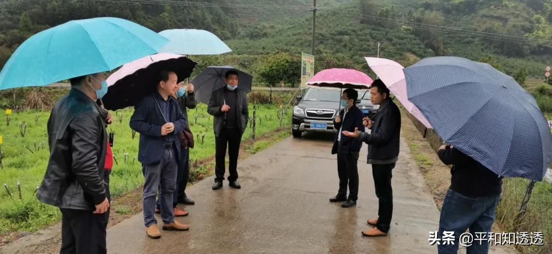 芦溪县农业农村局最新发展规划概览