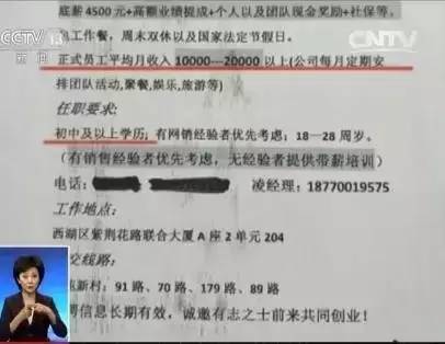 带岭区初中招聘启事概览，最新招聘信息汇总