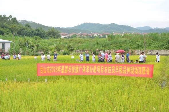 吐鲁番市农业农村局新项目推动农业现代化助力乡村振兴