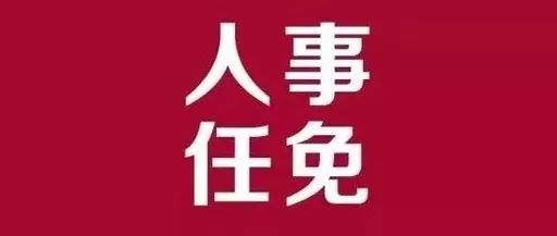 潮阳区审计局人事任命最新动态