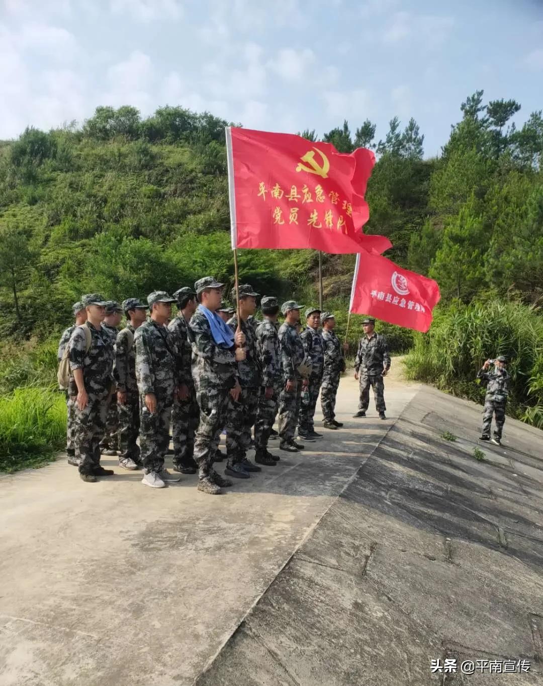 平南县小学最新招聘启事概览