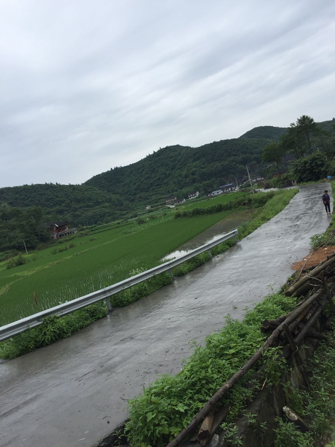 分水村天气预报最新详解