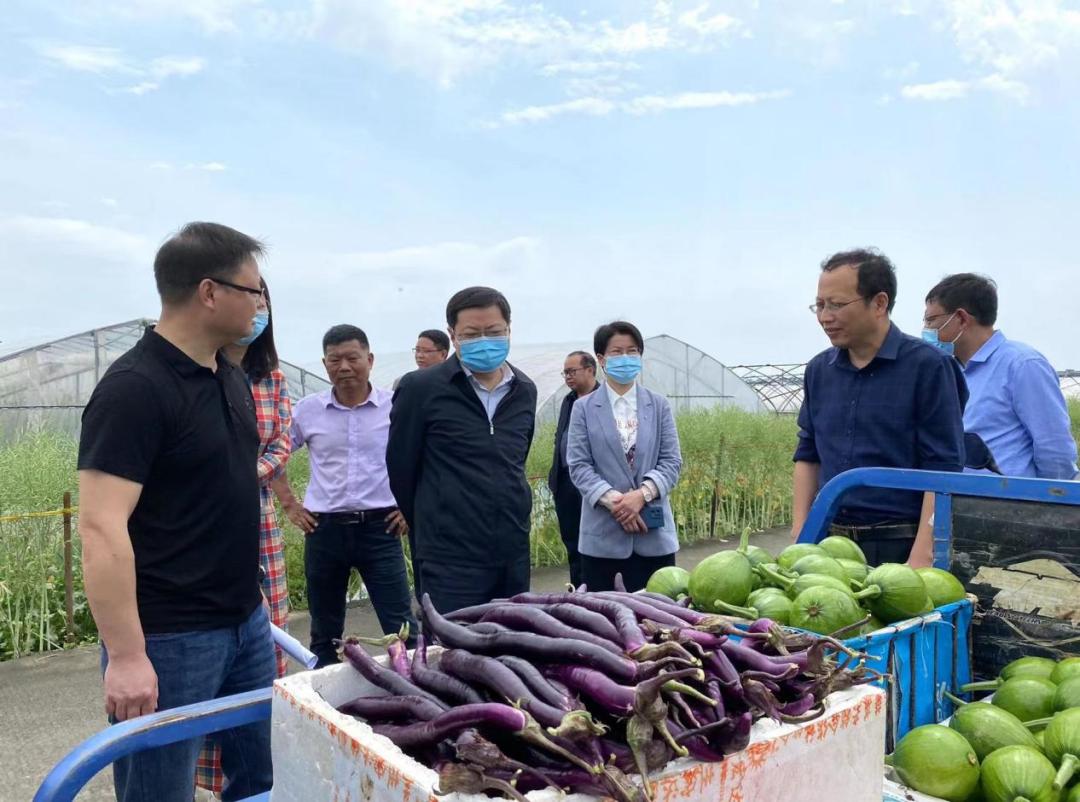 休宁县农业农村局最新动态报道