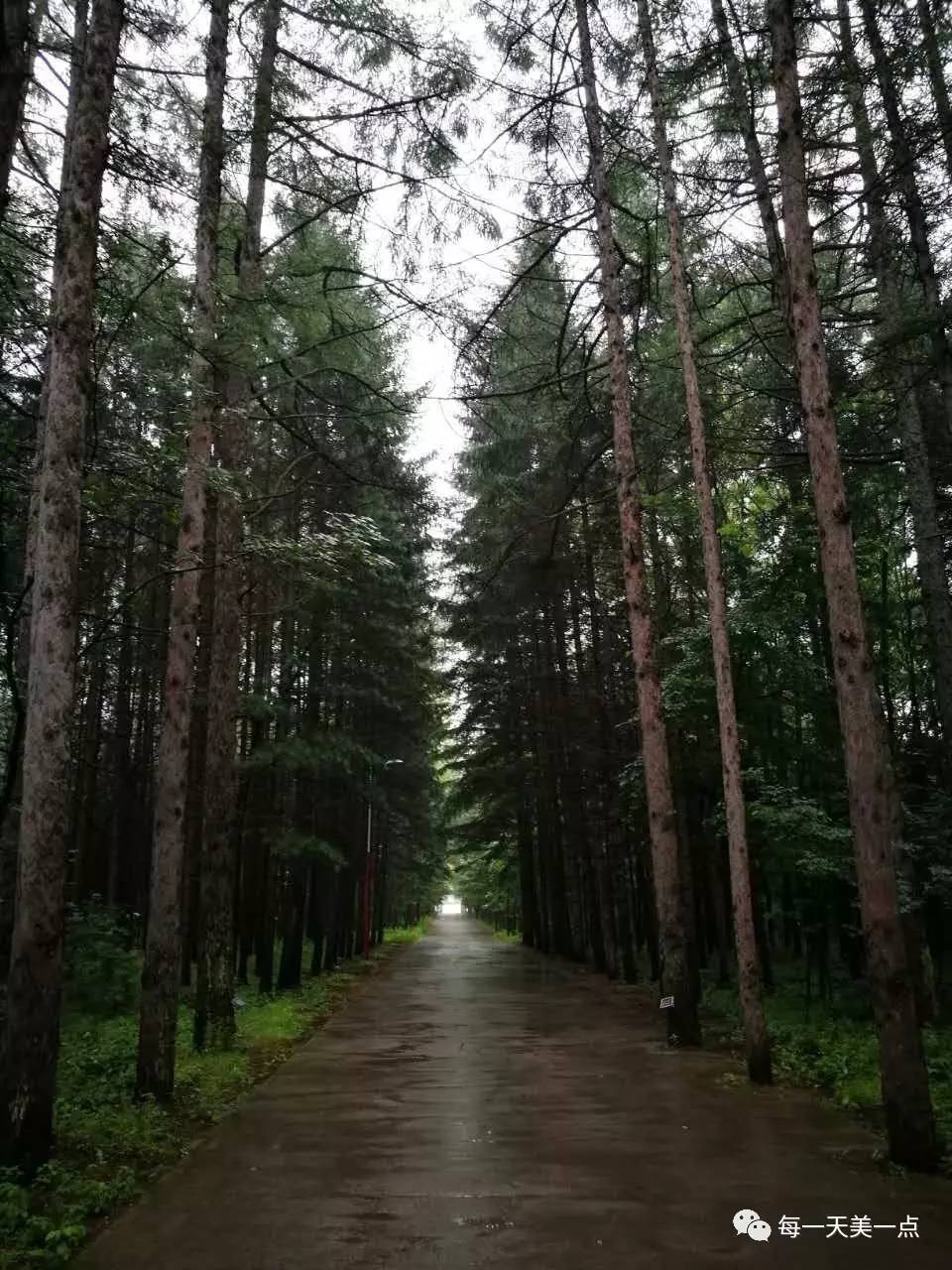 小兴安林场天气预报更新通知