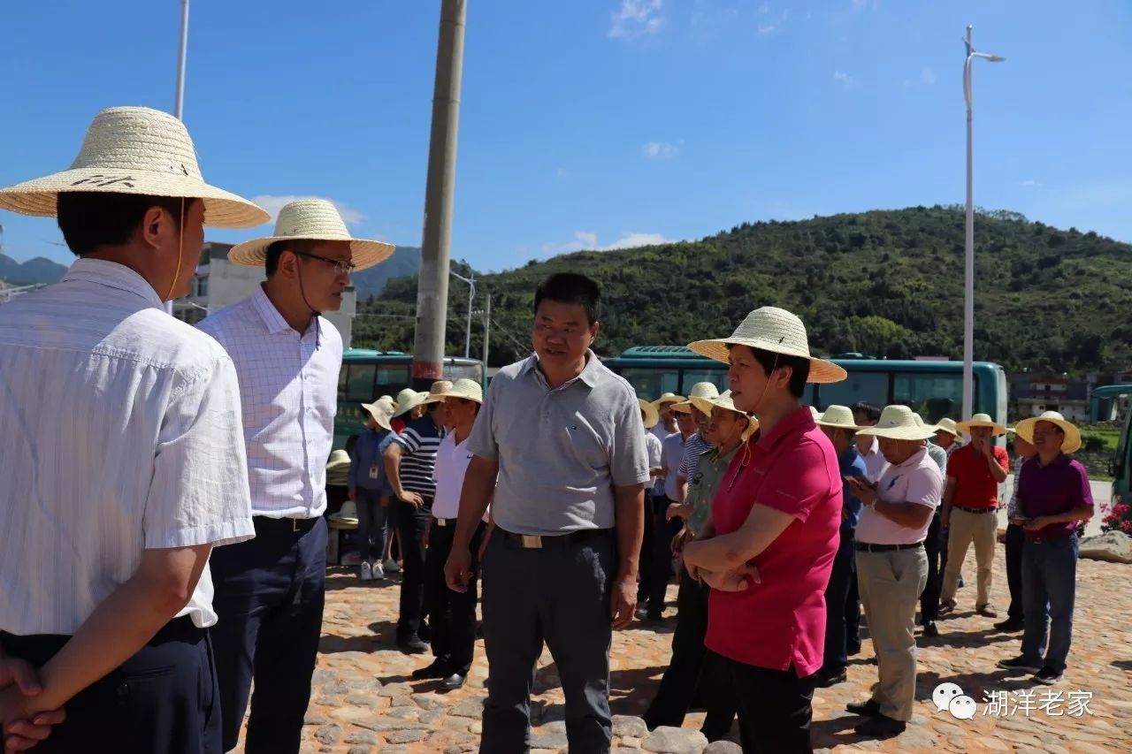 清白村新任领导，领航村庄走向新时代的领导者