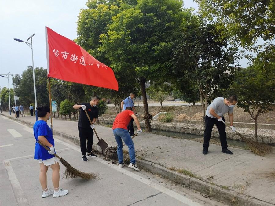 杨市镇新闻速递，最新报道汇总