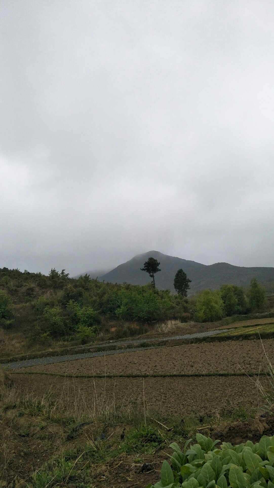 大德乡天气预报更新通知